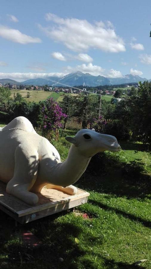 Agrotatry U Stachy Βίλα Bukowina Tatrzańska Εξωτερικό φωτογραφία