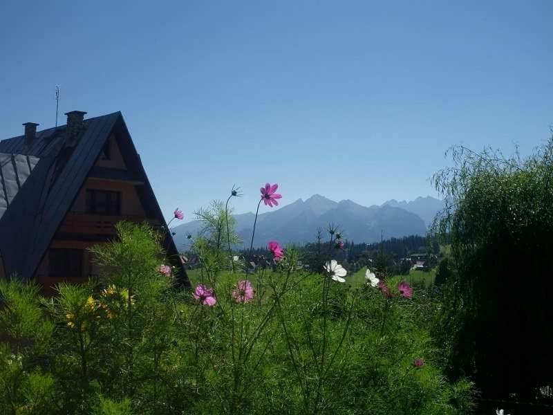 Agrotatry U Stachy Βίλα Bukowina Tatrzańska Εξωτερικό φωτογραφία